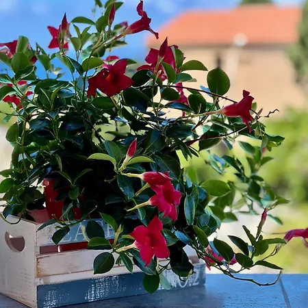 Kairos Luxury & Pool 特罗佩阿